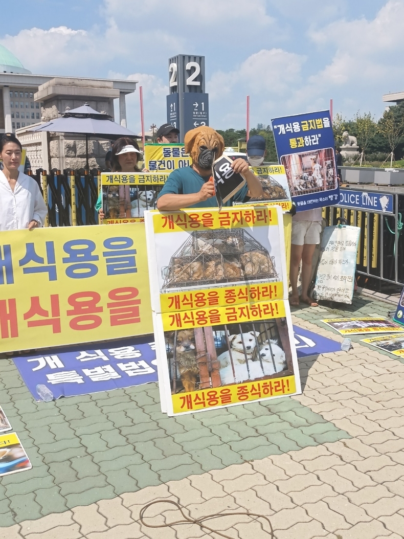 (사진=한국동물보호연합 제공)