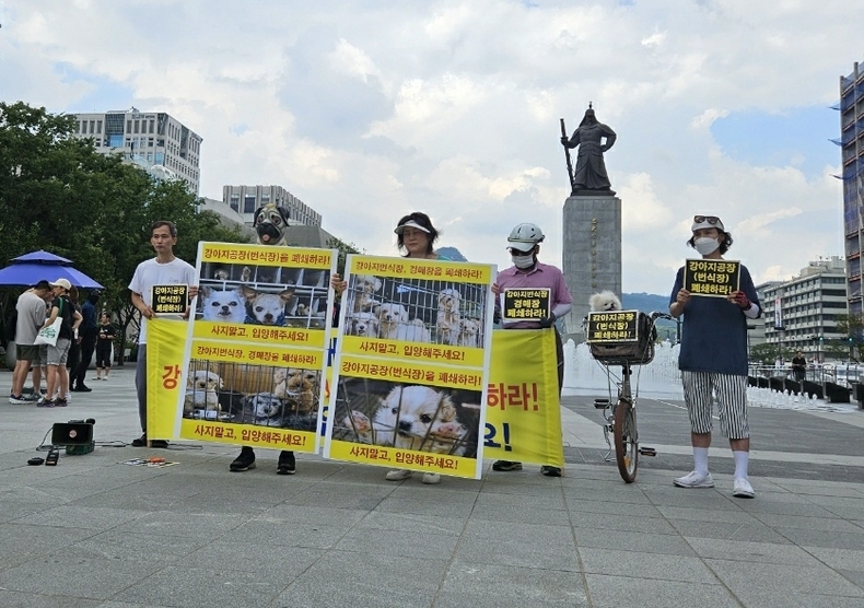 (사진=한국동물보호연합 제공)