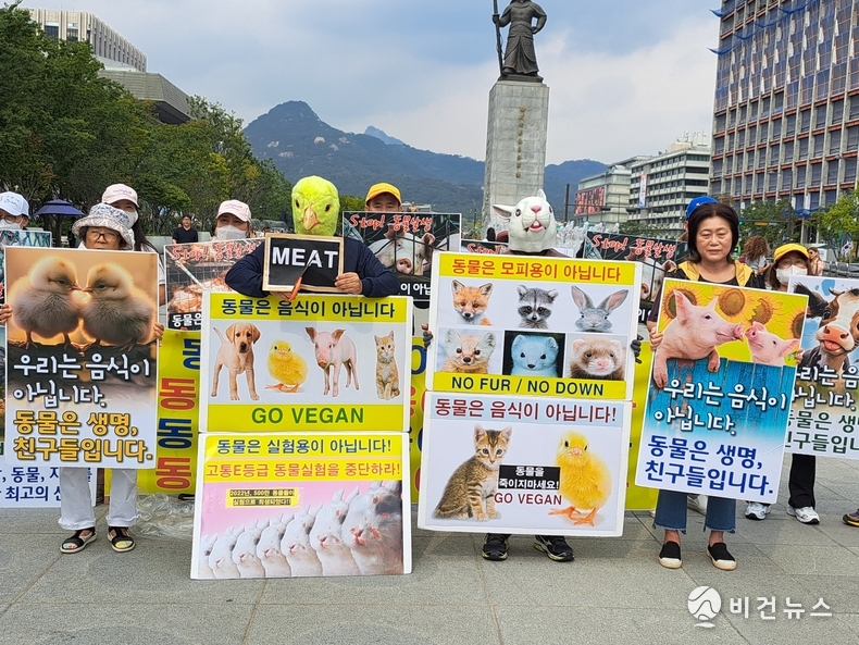(사진=한국동물보호연합 제공)