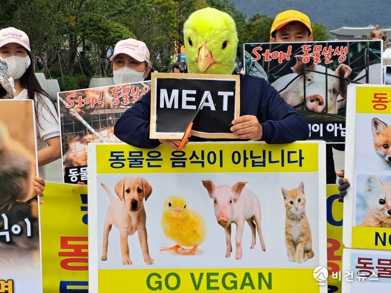 (사진=한국동물보호연합 제공)