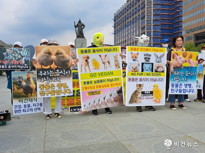 (사진=한국동물보호연합 제공)