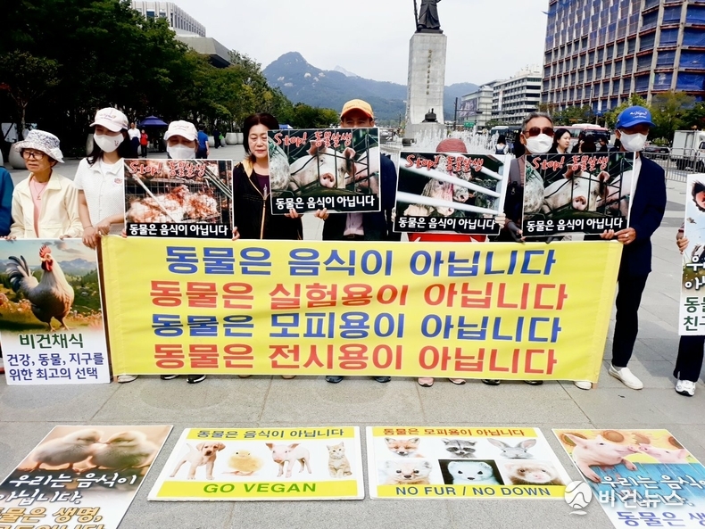 (사진=한국동물보호연합 제공)
