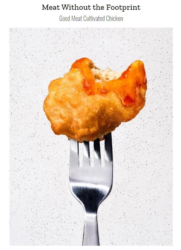 (사진=타임지 보고서 갈무리) 