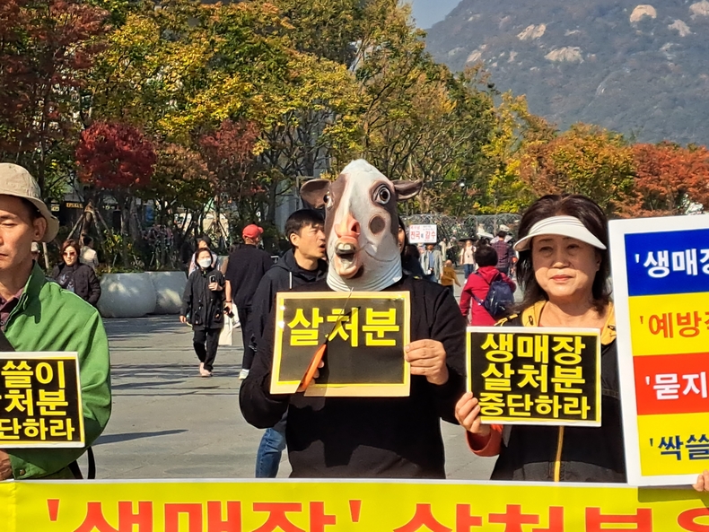 (사진=한국동물보호연합 제공)