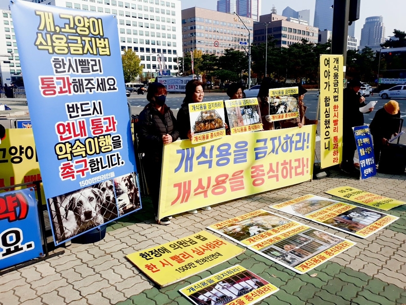 (사진=한국동물보호연합 제공)