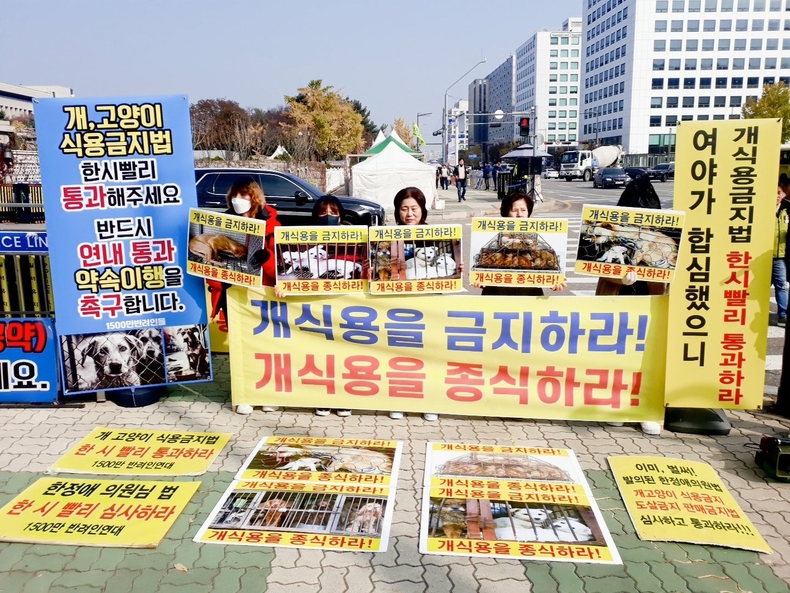 (사진=한국동물보호연합 제공)