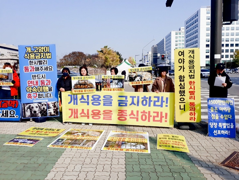 (사진=한국동물보호연합 제공)