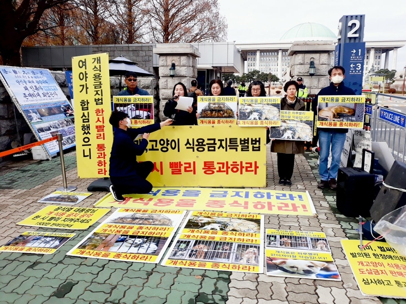 (사진=한국동물보호연합 제공)