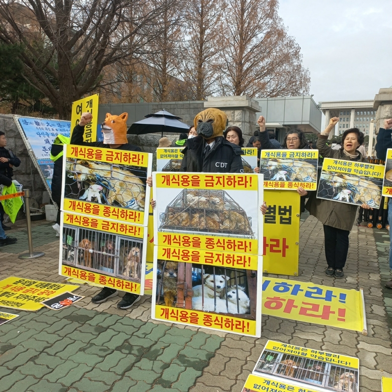 (사진=한국동물보호연합 제공)