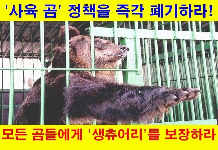 (사진=한국동물보호연합 제공)