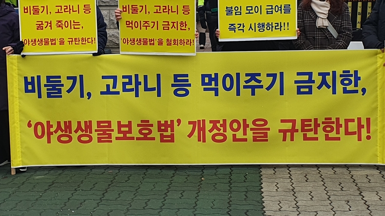 (사진=한국동물보호연합 제공)