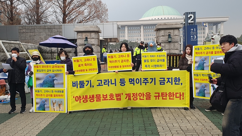 (사진=한국동물보호연합 제공)