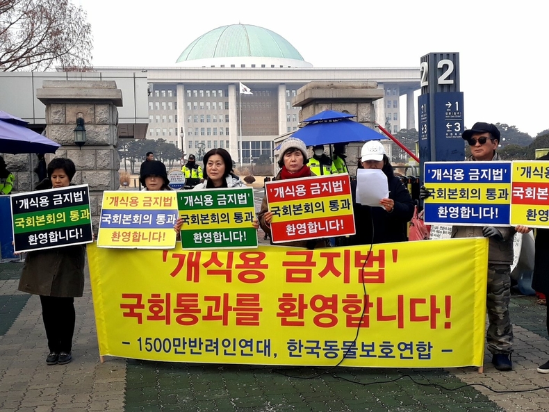(사진=한국동물보호연합 제공)