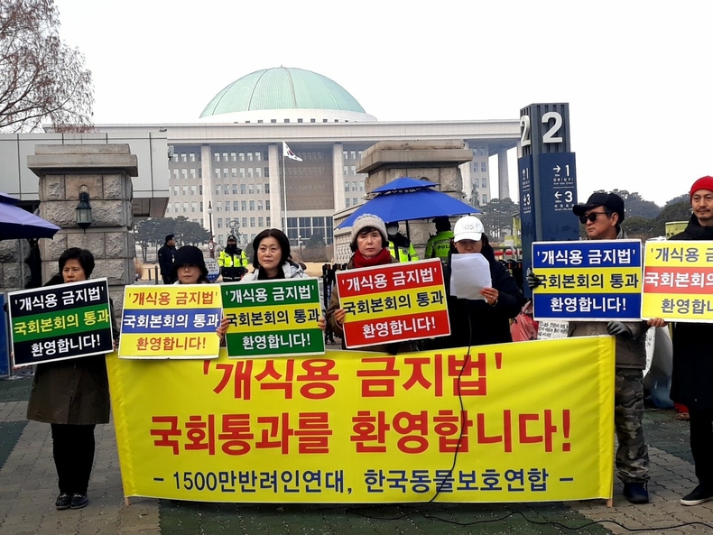 (사진=한국동물보호연합 제공)