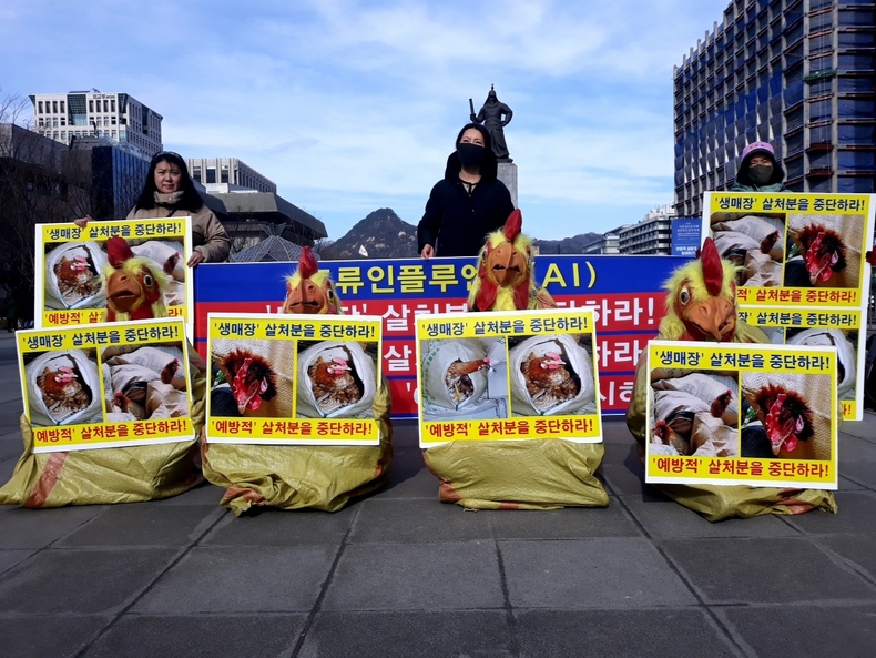 (사진=한국동물보호연합 제공)