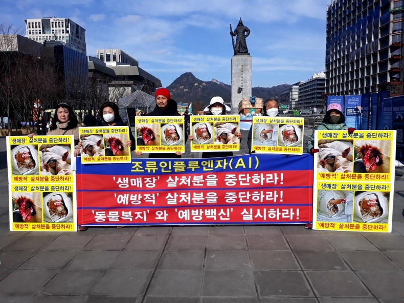 (사진=한국동물보호연합 제공)