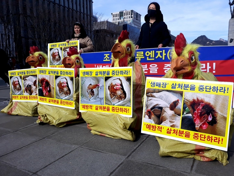 (사진=한국동물보호연합 제공)