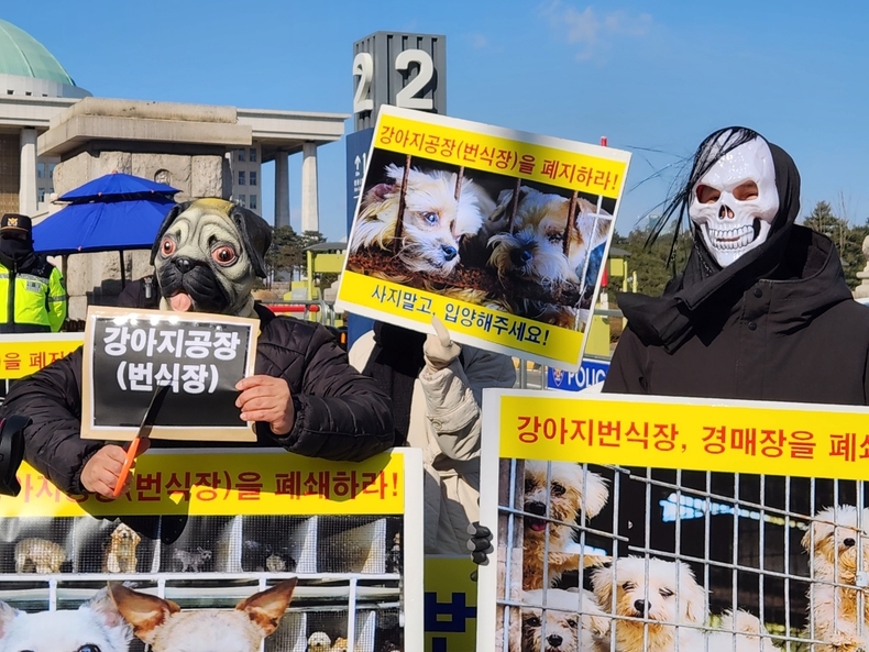 (사진=한국동물보호연합 제공)
