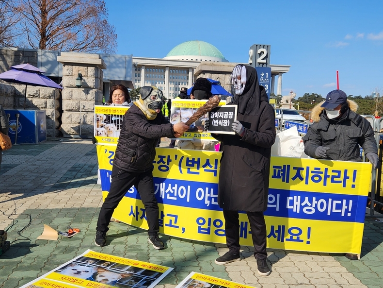 (사진=한국동물보호연합 제공)