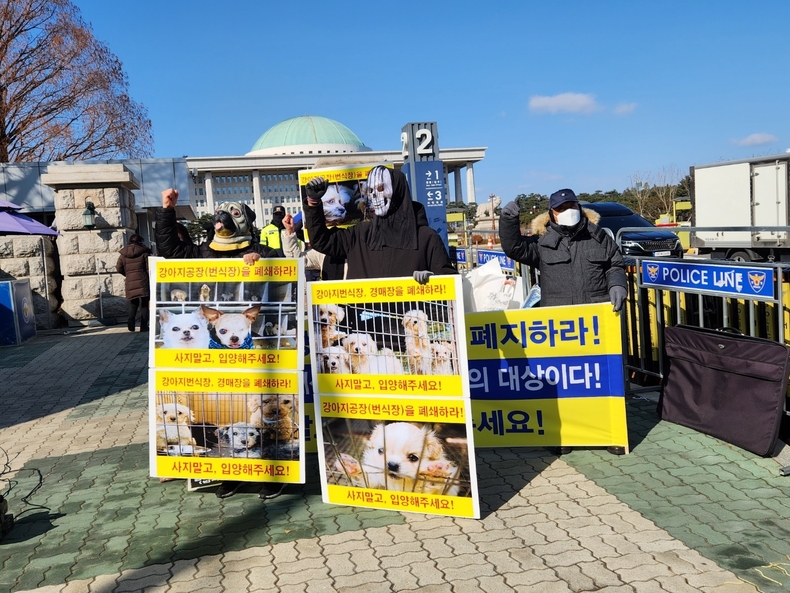 (사진=한국동물보호연합 제공)