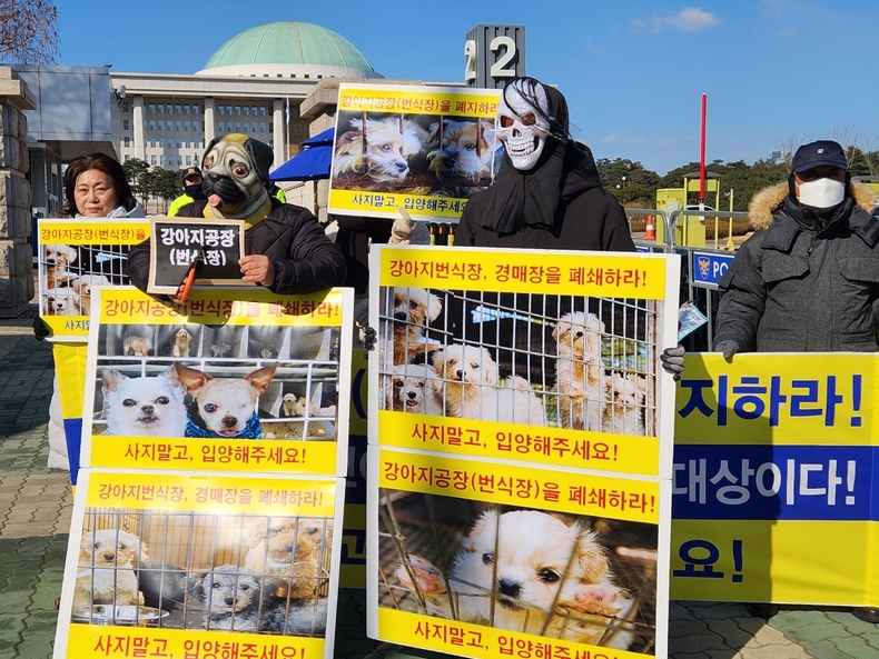 (사진=한국동물보호연합 제공)