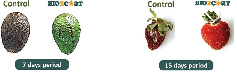 (사진=Bio2coat 홈페이지 갈무리)