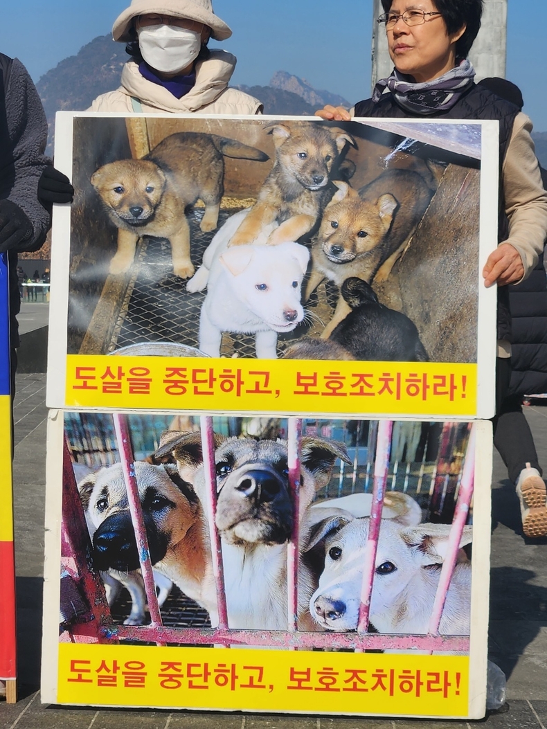 (사진=한국동물보호연합 제공)