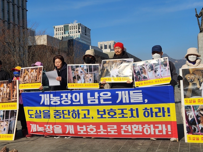 (사진=한국동물보호연합 제공)