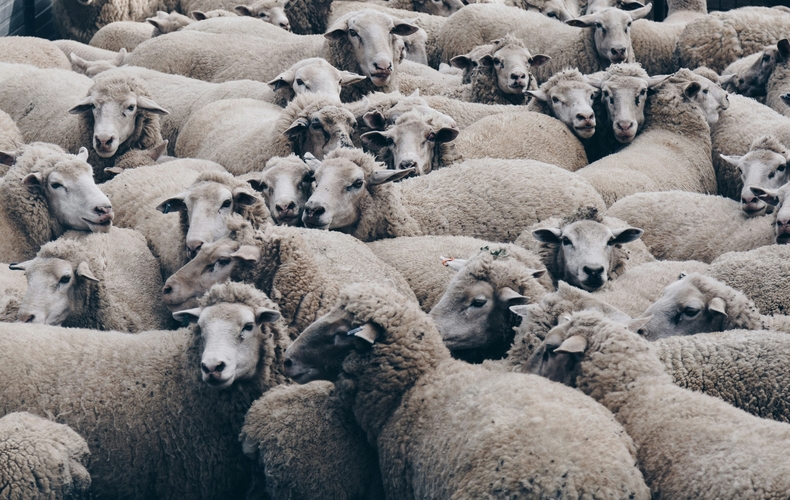 (사진=unsplash)