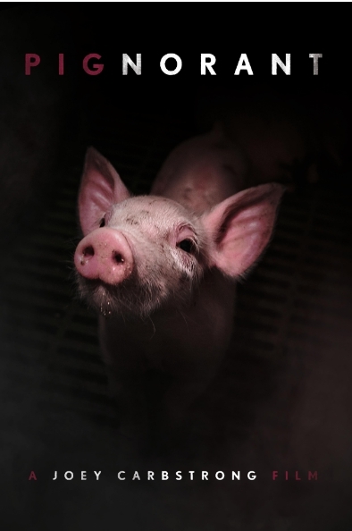 (사진=Pignorant 포스터)
