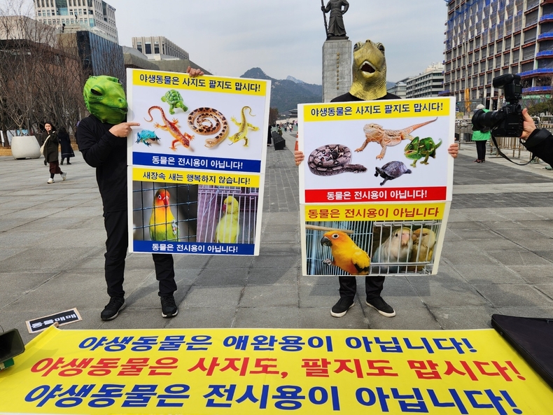 (사진=한국동물보호연합 제공)