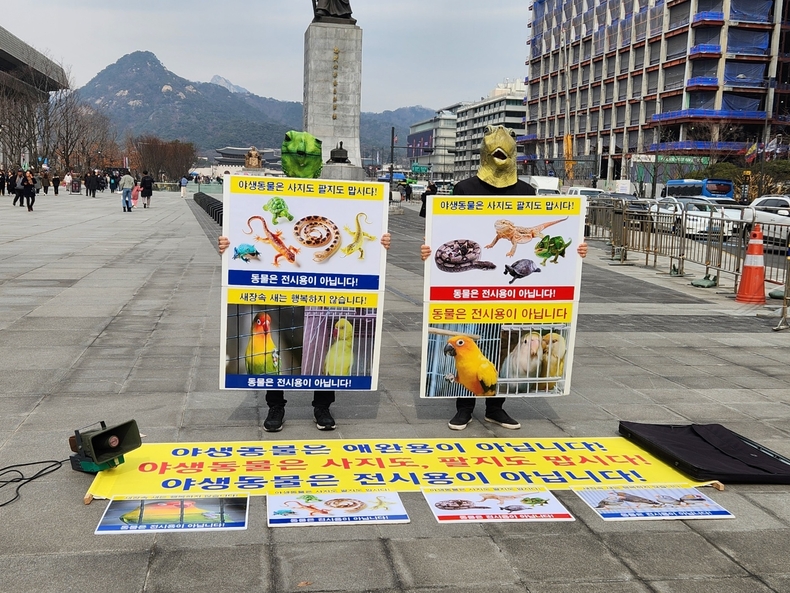 (사진=한국동물보호연합 제공)