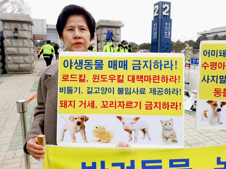 (사진=한국동물보호연합 제공)