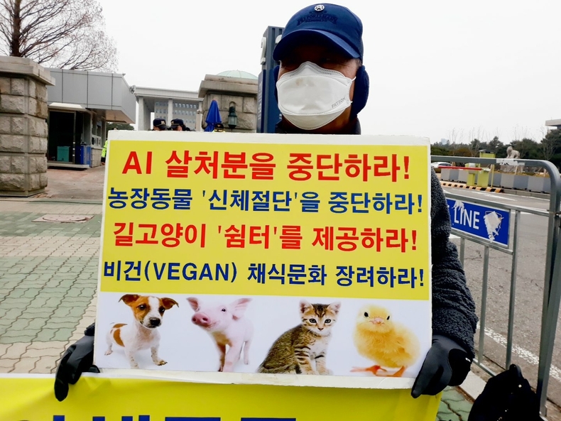 (사진=한국동물보호연합 제공)