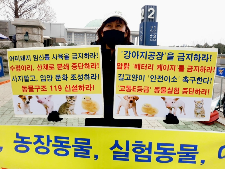 (사진=한국동물보호연합 제공)