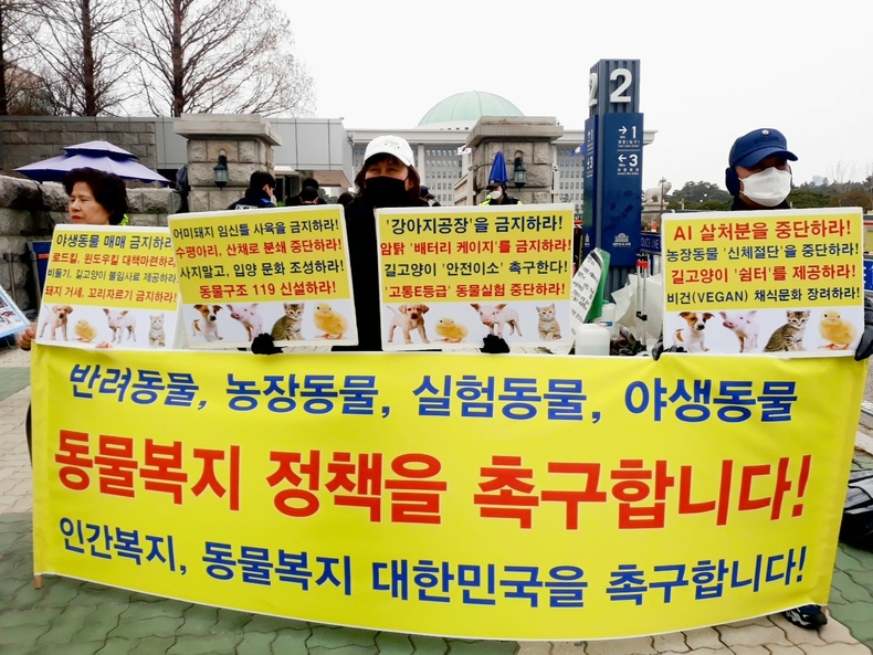 (사진=한국동물보호연합 제공)