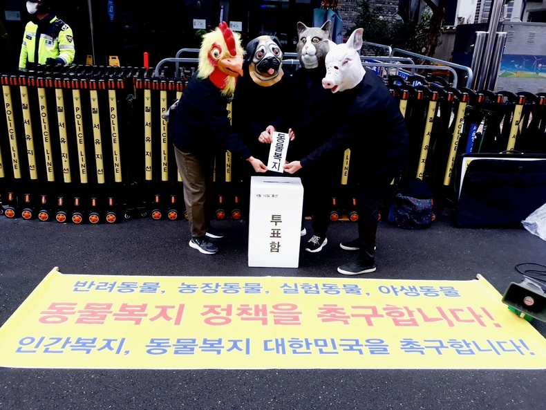(사진=한국동물보호연합 제공)