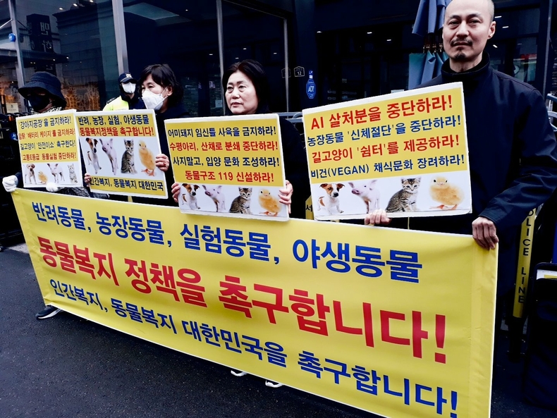 (사진=한국동물보호연합 제공)