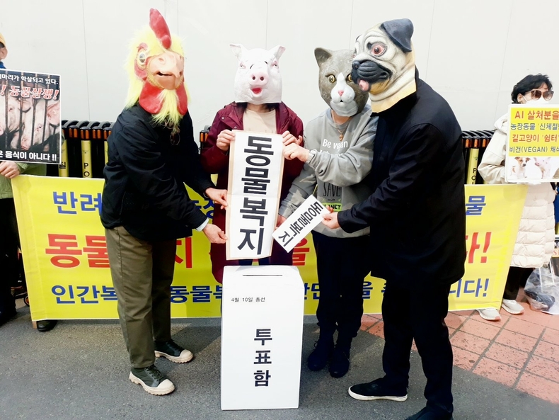 (사진=한국동물보호연합 제공)