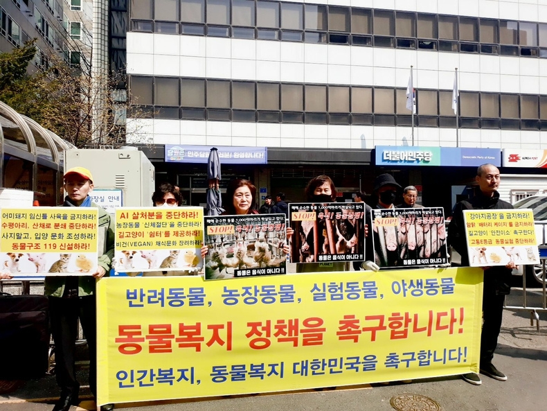 (사진=한국동물보호연합 제공)