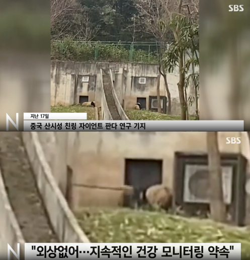 (사진=SBS 방송 갈무리)