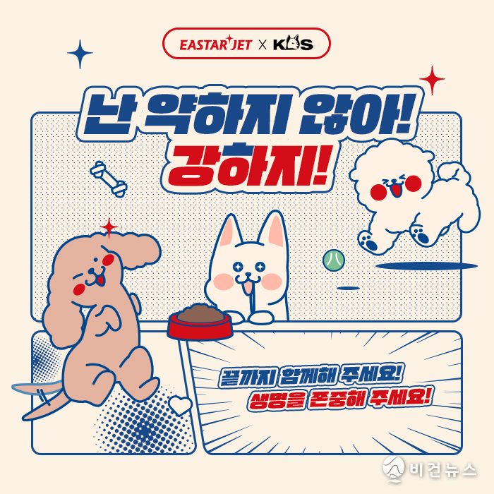 (사진=이스타항공 제공)