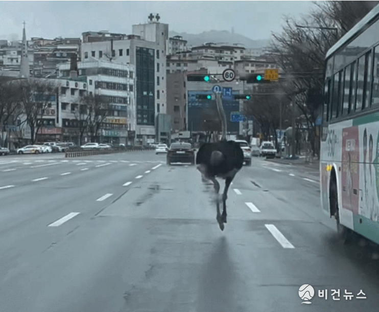 (사진=커뮤니티 갈무리)