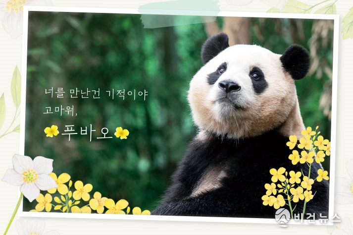 (사진=에버랜드 제공)