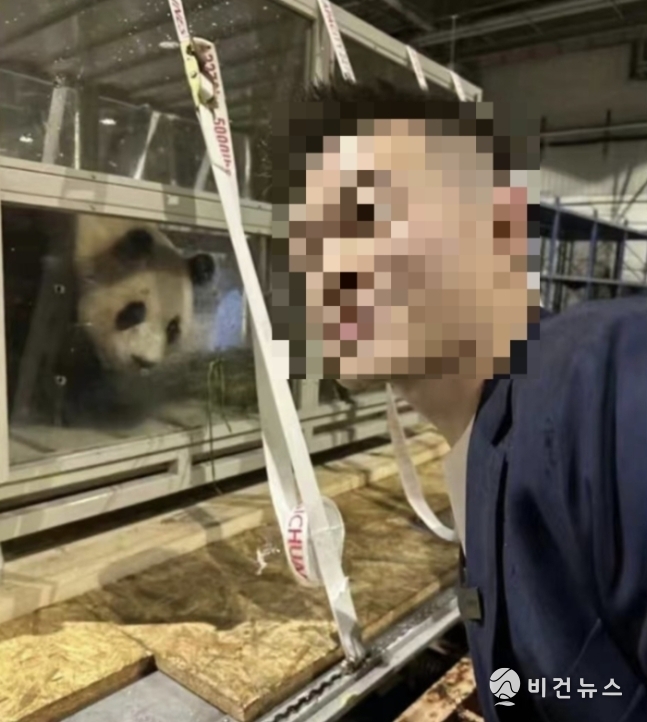 (사진=웨이보 갈무리)