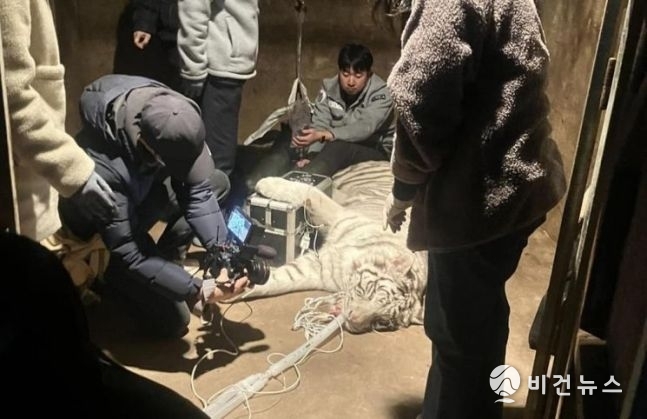 (사진=김해시 제공)