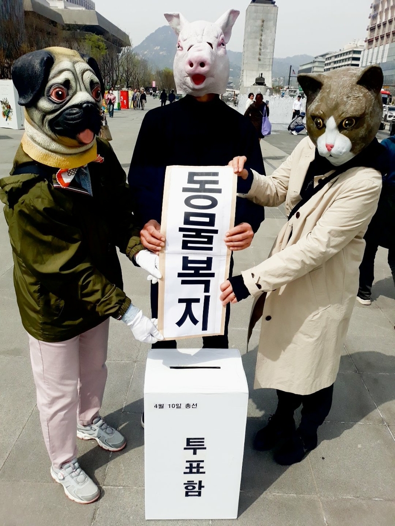 (사진=한국동물보호연합 제공)
