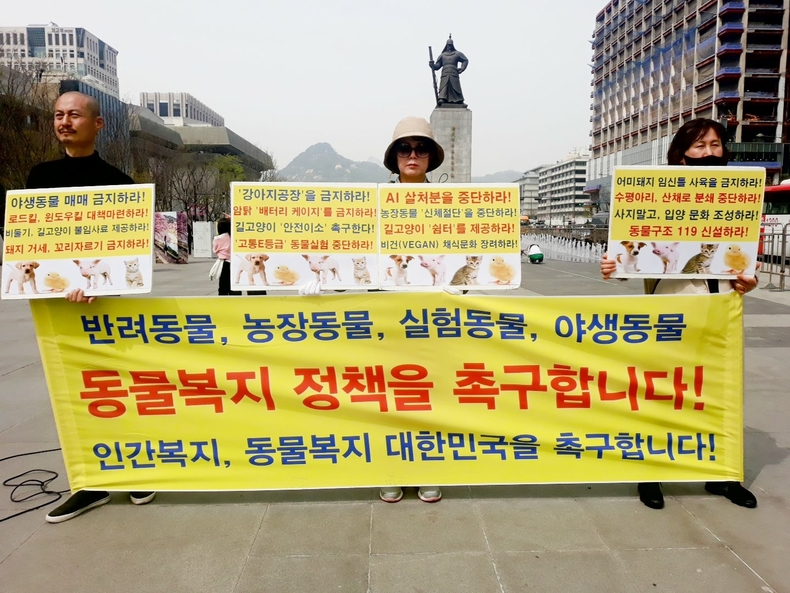 (사진=한국동물보호연합 제공)