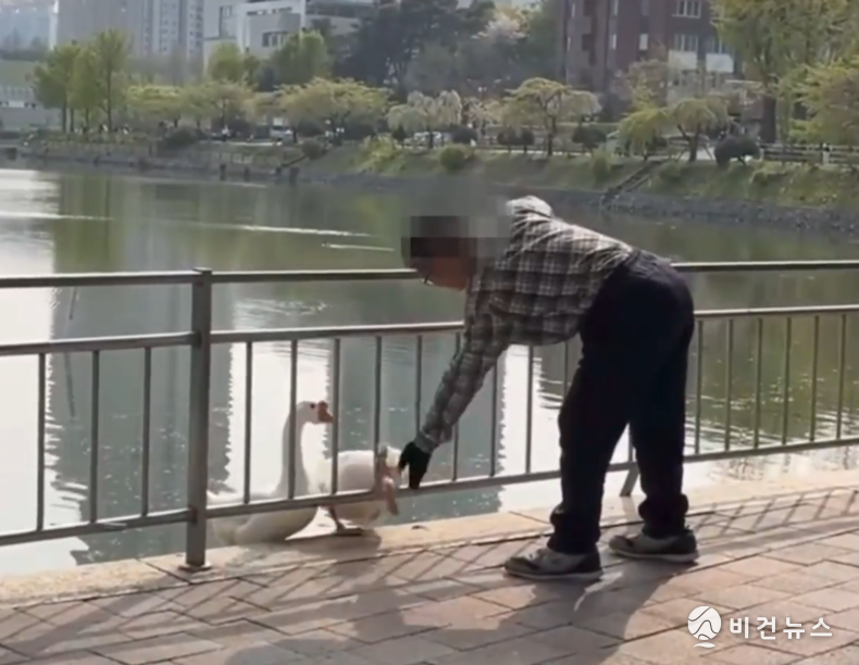 (사진=동물자유연대 인스타그램 영상 갈무리)