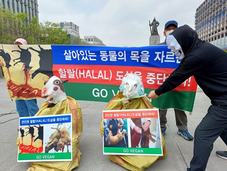 (사진=동물보호단체 제공)